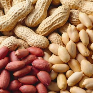Peanut Kernels