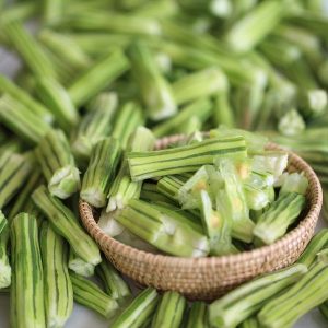 Freeze-Dried Drumstick
