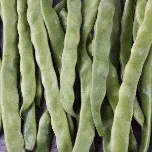 Freeze-Dried Flat Beans