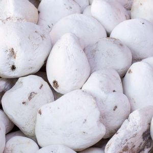 Freeze-Dried Potato