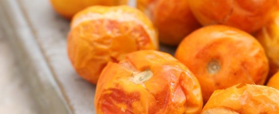 tomato